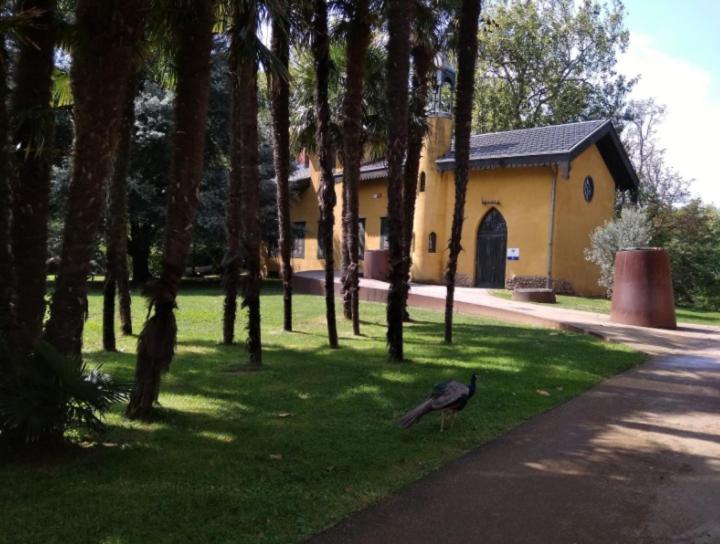 Big 4 Rooms In A Centric Home Parking Included San Sebastian Luaran gambar
